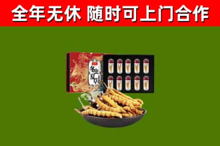 青山湖区回收冬虫夏草价格